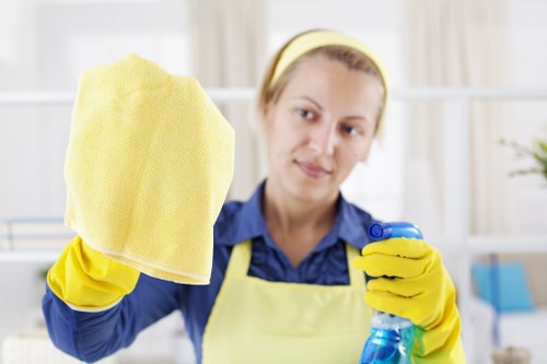 Supplier audit and compliance review for Cleaners SE5