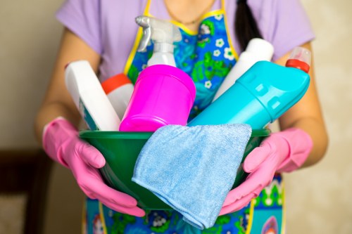 Local carpet cleaner treating stairs and hallways in SE5