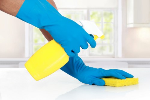 Professional cleaners in SE5 working on a spotless home interior