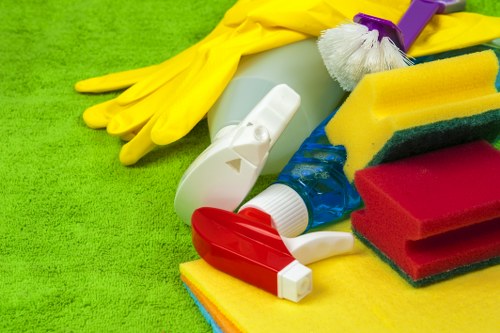 Cleaner working on hard-to-reach windows in SE5