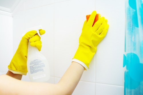 Customer responsibilities and access arrangements for a cleaning visit