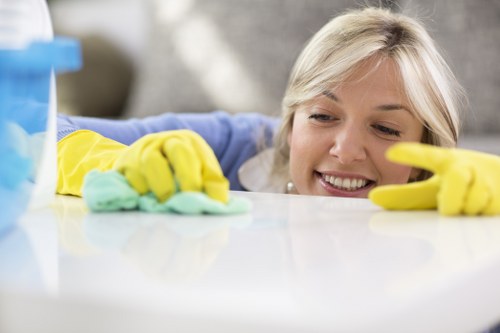 Professional cleaning checklist and service planning for SE5 customers