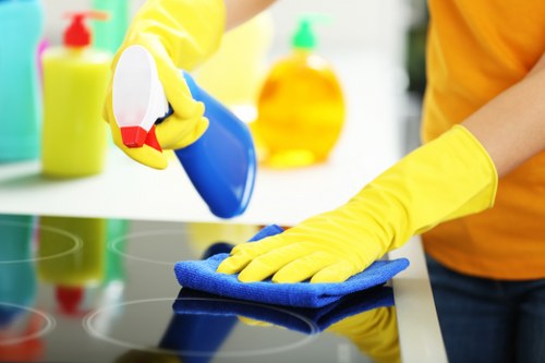 Move in cleaning service for residential and commercial properties in SE5
