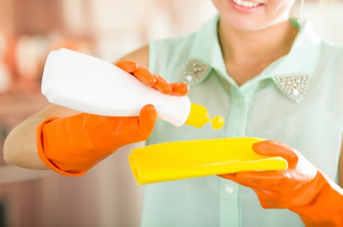 Trusted secure checkout area for Cleaners SE5 payments