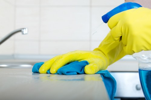 Detailed cleaning of kitchen and living areas in SE5
