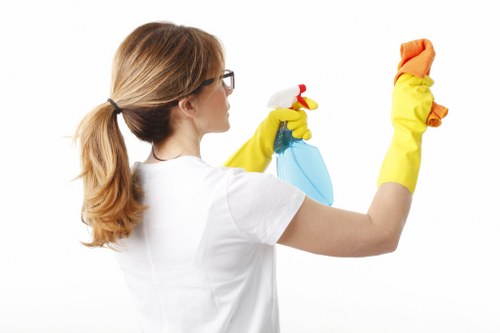 Professional domestic window cleaning in Camberwell SE5