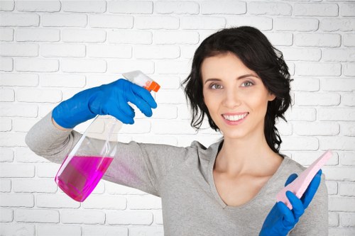 Rug cleaning process suitable for SE5 flats and businesses