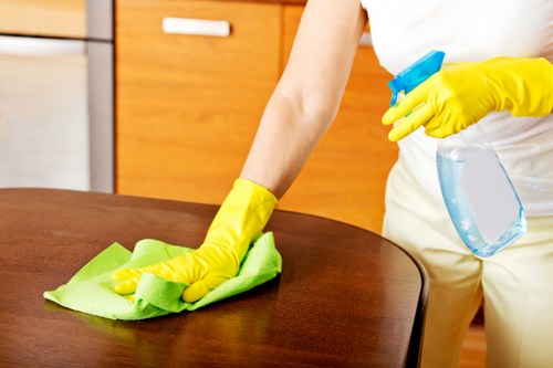 Local SE5 stain removal specialist preparing treatment tools